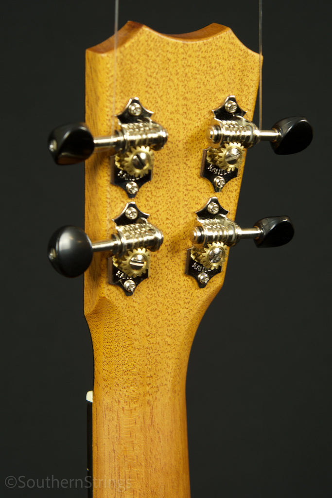 Kanile'a E Silk Tenor