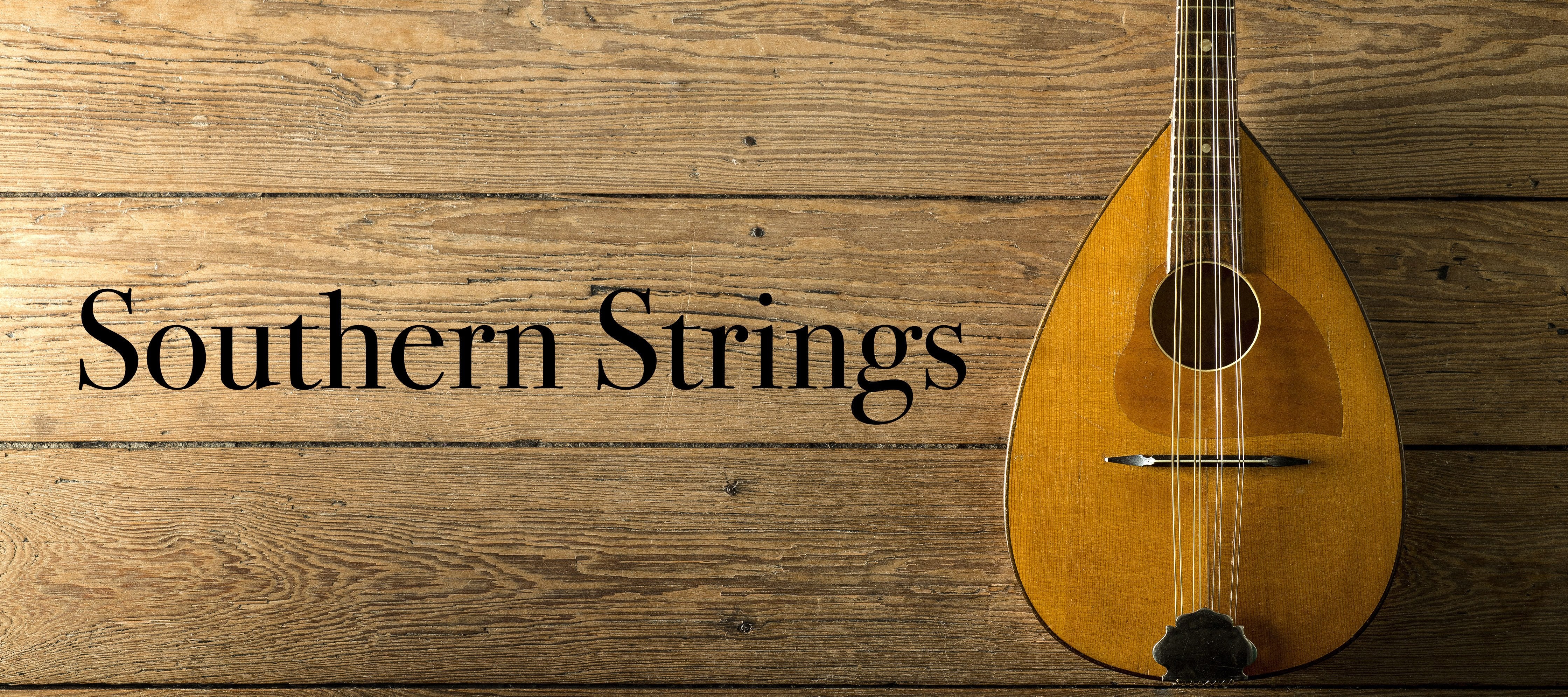 Southern Strings - Acoustic String Instruments Store